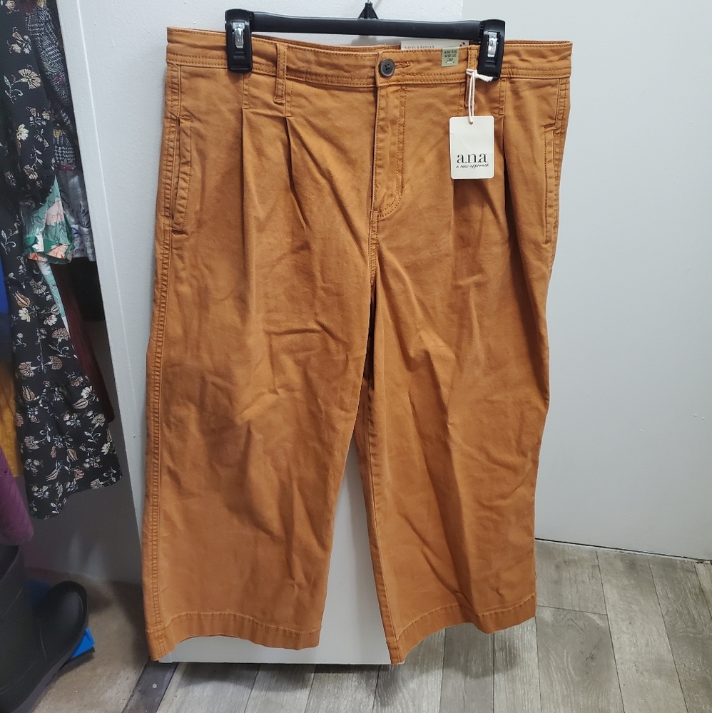 NWT High-Rise Wide Leg Crop Pants | Size 14 | Copper | A.N.A. brand